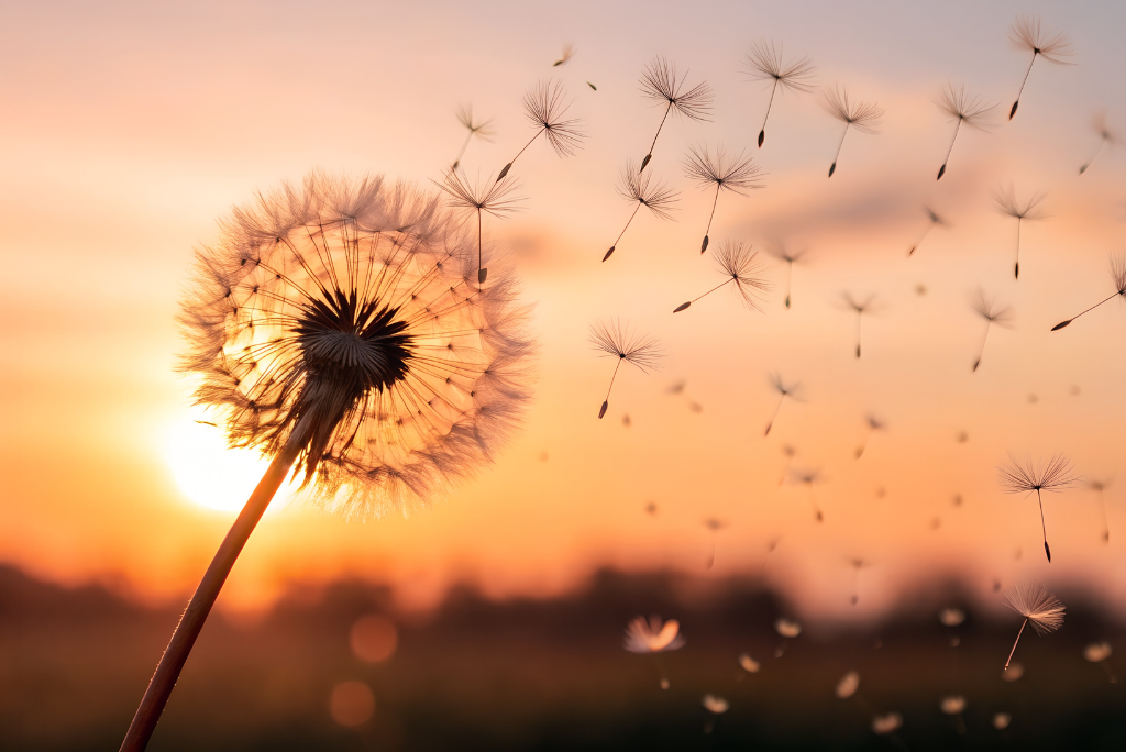 Divórcio morando no exterior